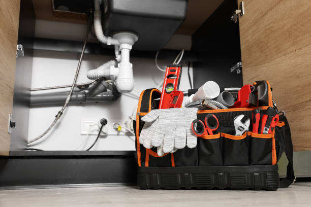 Best Toilet Repair Services  in Natalia, TX